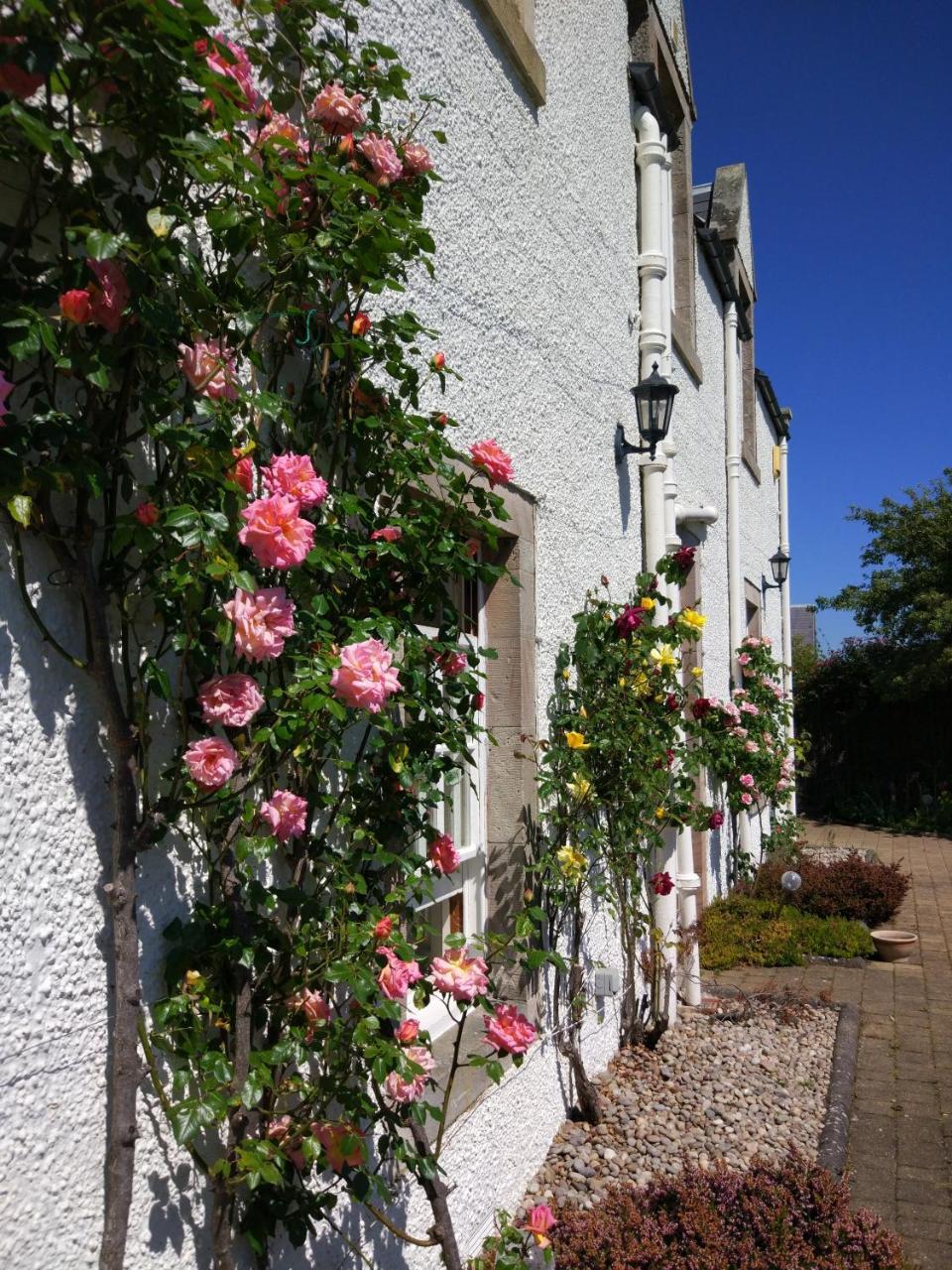 Bowden House B&B Melrose Exterior photo